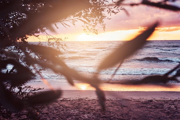 Ocean waves, amazing cloudy sky, beautiful sunset. Evening seascape