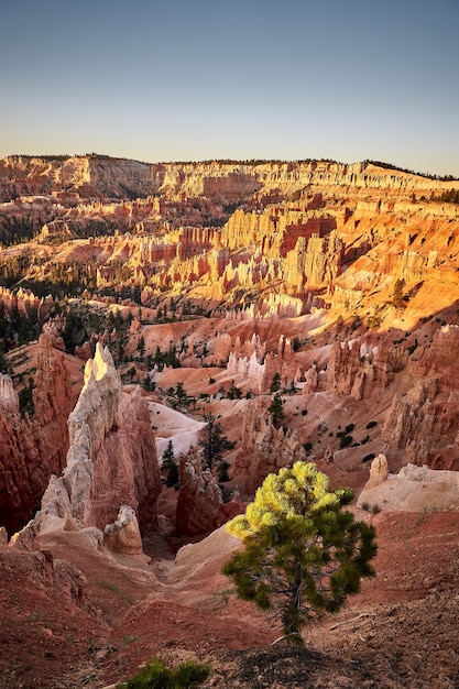 Beautiful Scenery of a Canyon Landscape in Bryce Canyon National Park, Utah, USA