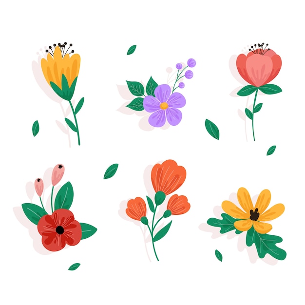 Multicolored Spring Flower Collection in Flat Design