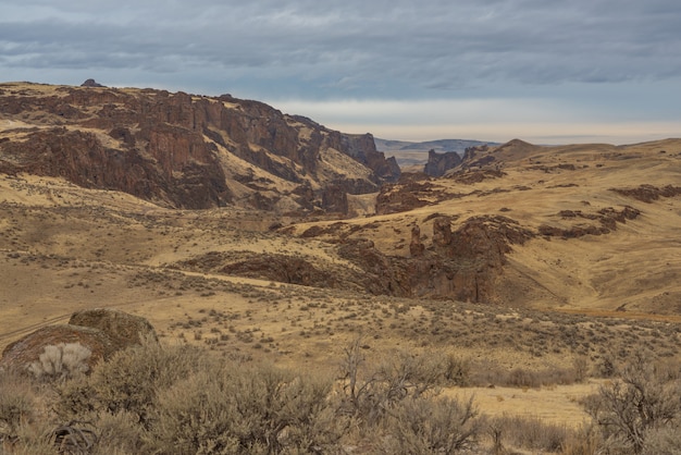 Beautiful Desert Landscape with Mountains and Dried Bushes under Blue Cloudy Sky