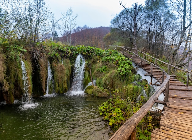 Beautiful Shot of Wooden Bridge in Plitvice Lakes National Park, Croatia