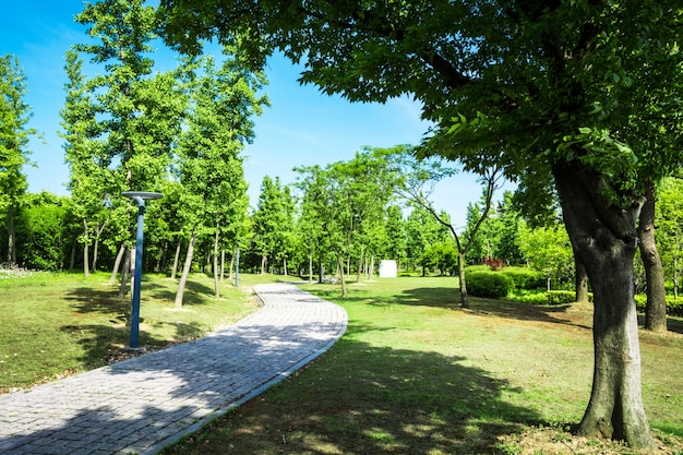 Promenade in a beautiful city park – Free Stock Photo Download