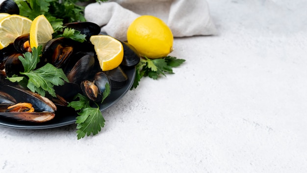 Fresh Mediterranean mussels with copy space