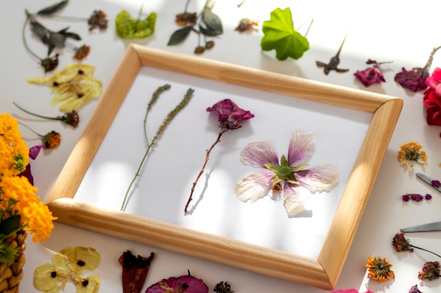 High Angle Flower Press Technique Still Life