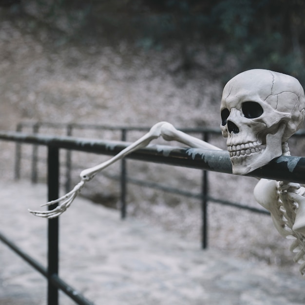 Decorative skeleton on parapet and looking away