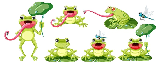 Vector Templates – Set of Different Frogs in Cartoon Style