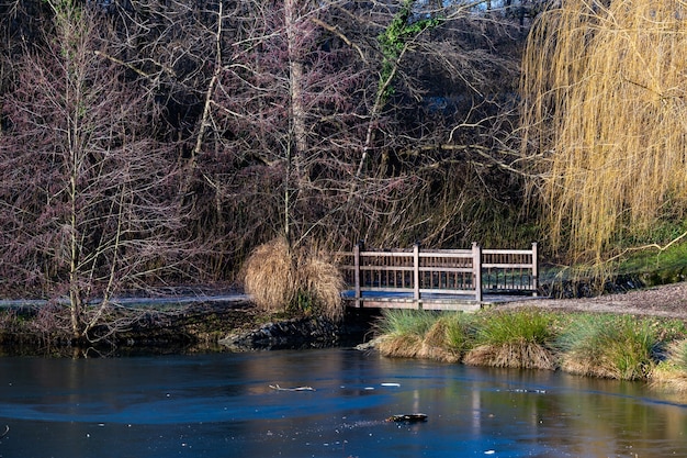 Small Bridge on a Lake in Maksimir Park, Zagreb, Croatia – Free Stock Photo Download