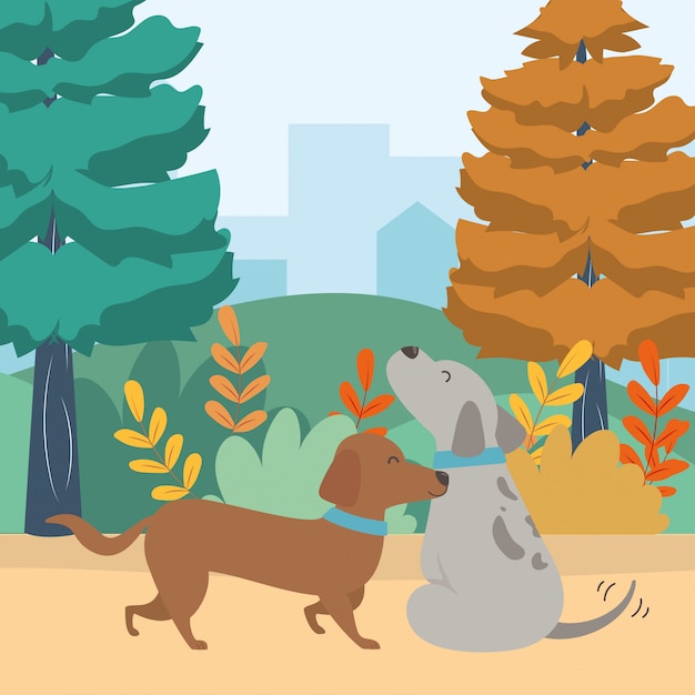 Vector Templates: Dogs Cartoons