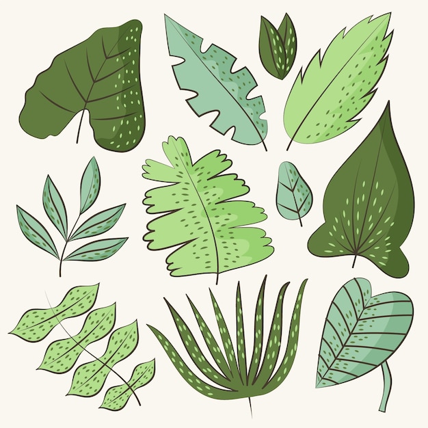 Hand drawn green leaves – Free Download Stock Photo