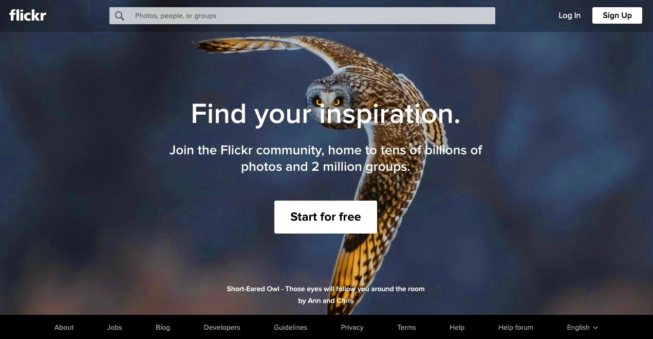 What is Flickr Social Media and Why You Should Use Flickr G For Games