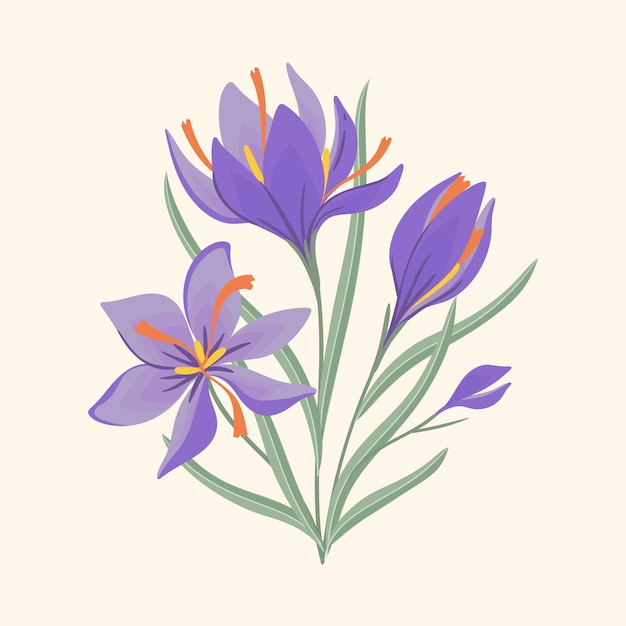 Hand Drawn Flat Design Saffron Illustration for Free Download