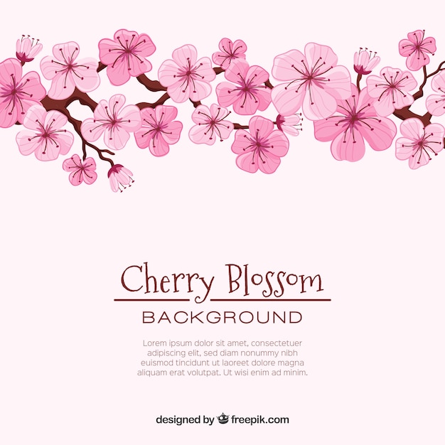 Cherry Blossom Background in Hand Drawn Style