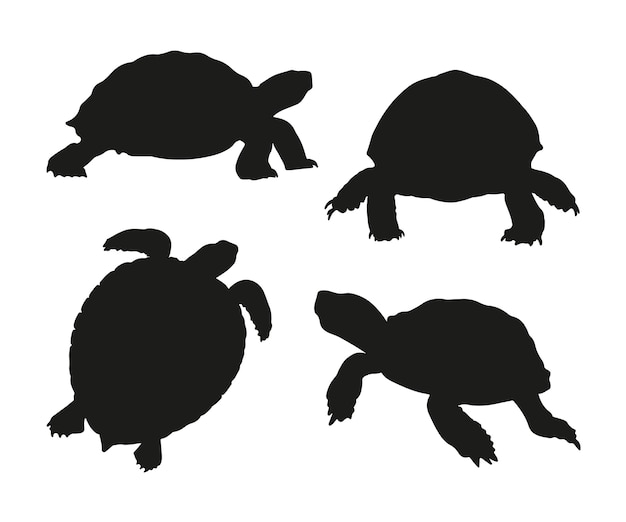 Hand Drawn Turtle Silhouette – Free Vector Template Download