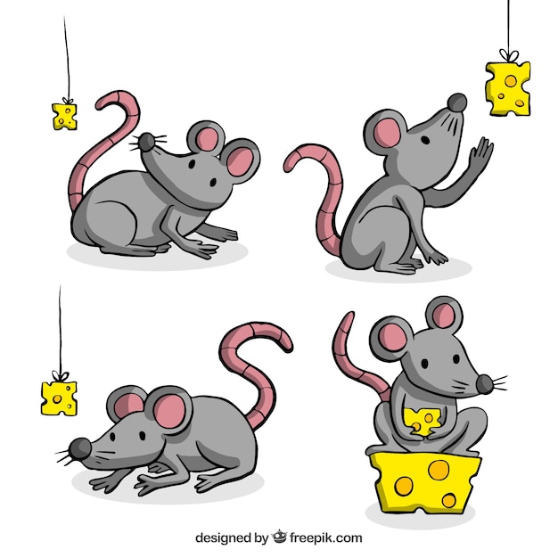 Hand Drawn Mice Collection Playing with Cheese