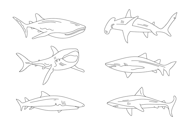 Hand drawn shark outline