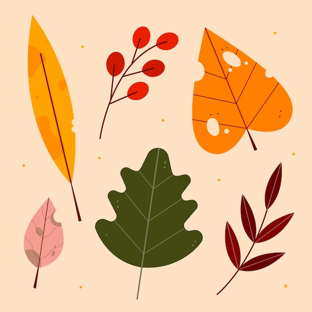 Autumn Leaves Collection: Free Download Vector Templates