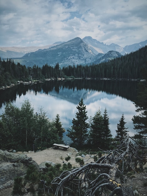 Vertical Shot of a Big Pond Surrounded by Trees with a Beautiful Mountain