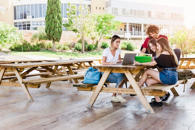 Students studying on a sunny day