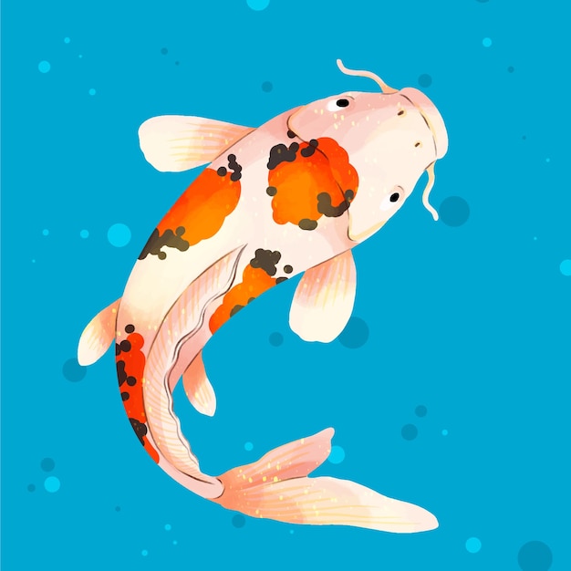 Watercolor koi illustration – Vector Templates for Free Download