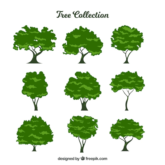 Vector Templates: Nine Leafy Trees – Free Download