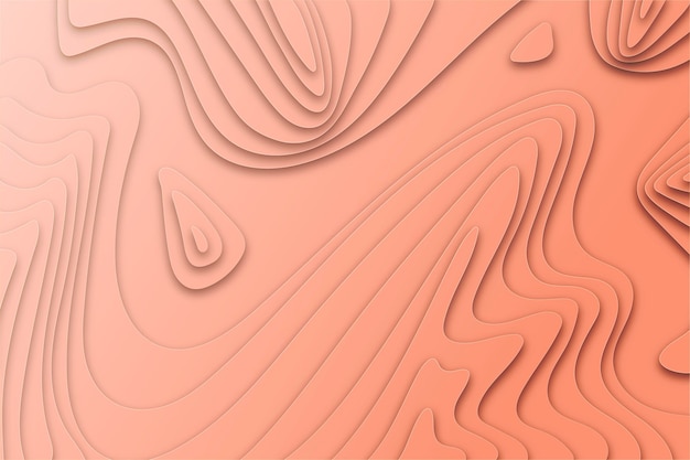 Topographic Map Background Concept