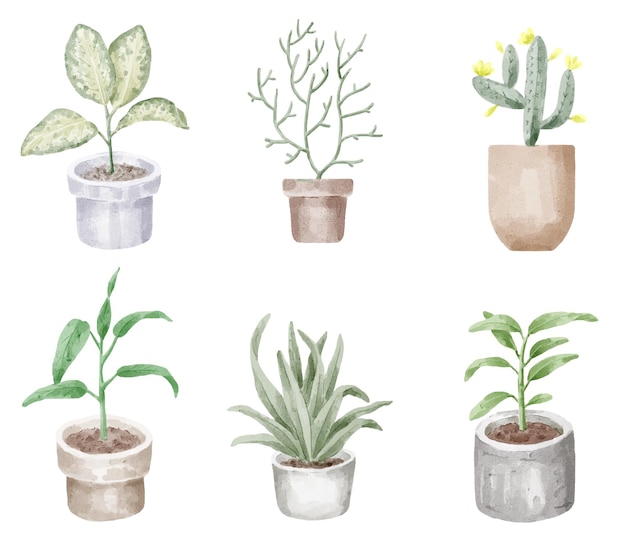 House Indoor and Outdoor Plant Watercolor Illustrations