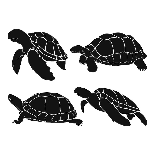 Hand Drawn Turtle Silhouette