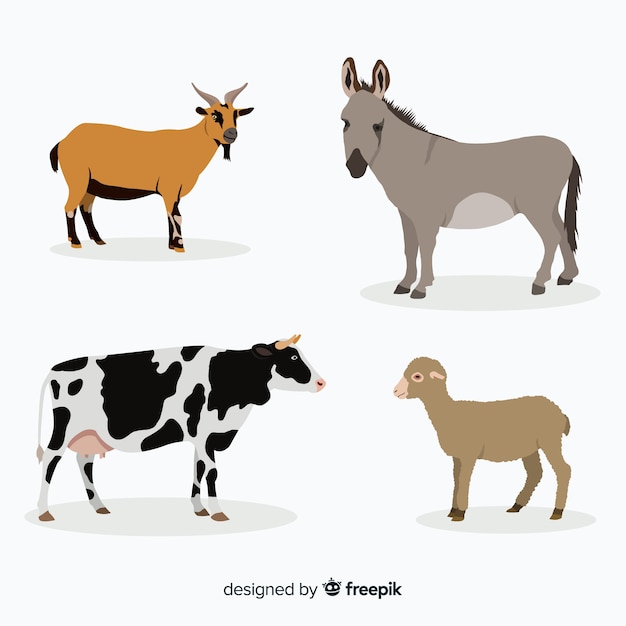 Farm Animal Collection in Flat Style – Free Download