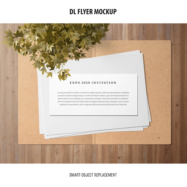 DL Flyer Mockup – Free Download