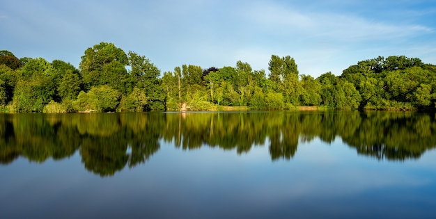 Reflection of Green Trees in a Beautiful Lake