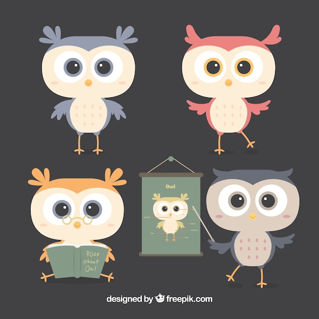 Flat Owl Collection – Free Download