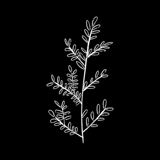 Vector Templates: Stunning Illustration of Plant for Free Download