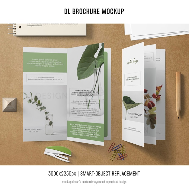 Portrait DL Brochure Mockup – Free Download