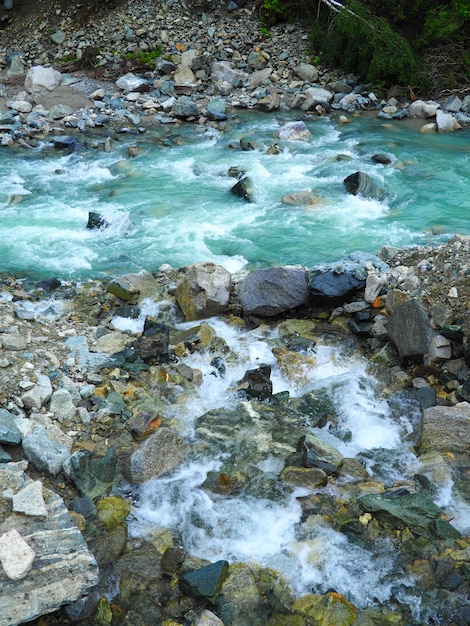 Vertical Shot of Rocks in a Stream Flowing Water – Free Download