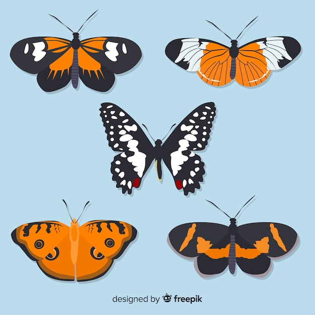 Flat butterflies collection free download