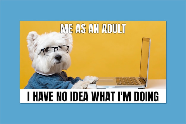 Adulting Meme Free Stock Photo Download