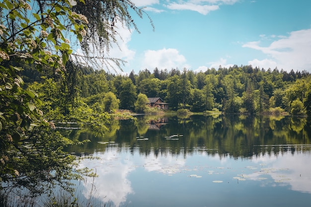 Scenic Shot of a Beautiful Lake Surrounded by Green Trees and a House Under the Cloudy Sky