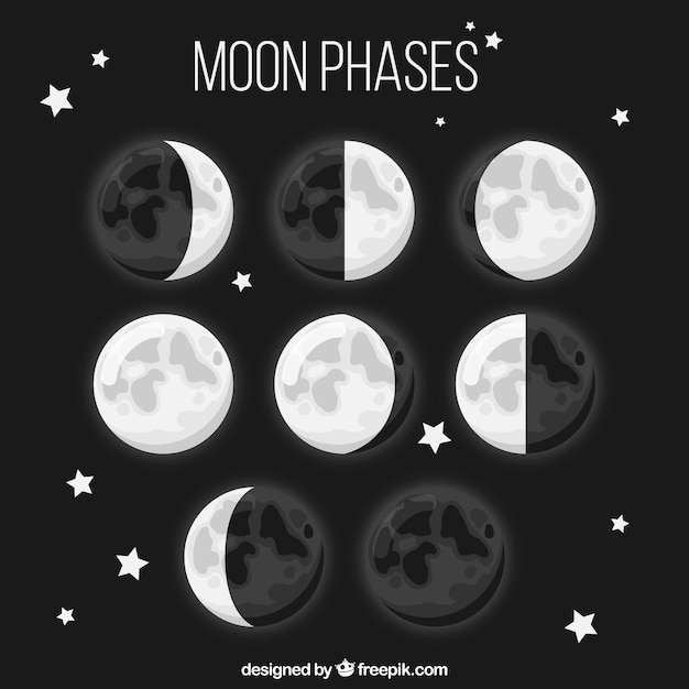 Eight Moon Phases in Flat Design