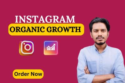 I will do super fast organic Instagram growth or Instagram growth