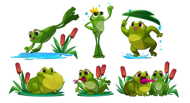 Cute Frog Cartoon Character Mascot Vector Templates for Free Download