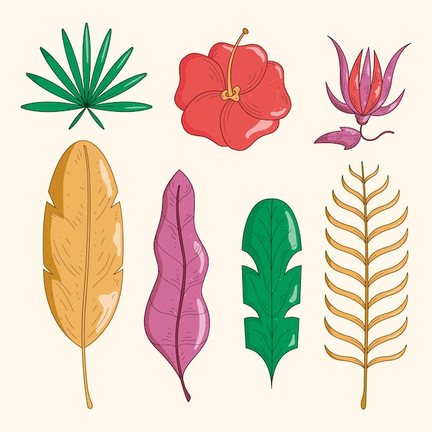 Vector Templates: Set of Tropical Flowers and Leaves Free Download