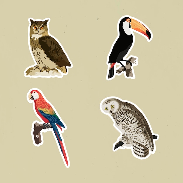 Vector Templates: Vintage Birds Sticker with a White Border