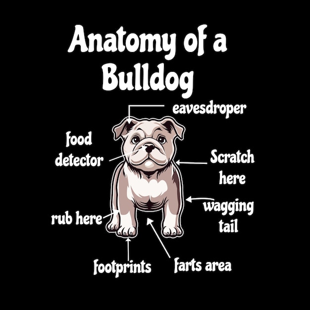 Anatomy of a Bulldog Typography TShirt Design Vector