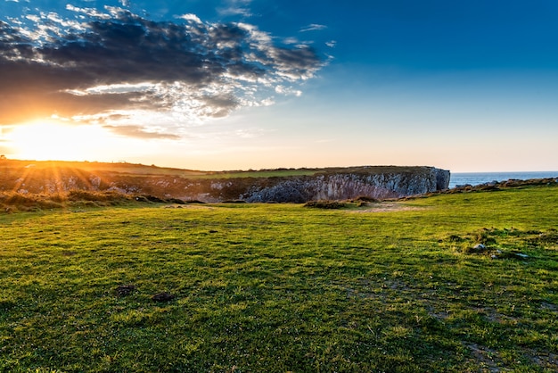 Mesmerizing view of the fields near the ocean during sunrise