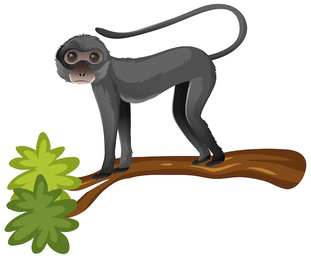 Spider monkey cartoon character on white background