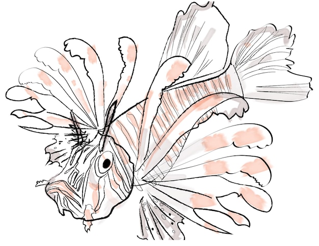 Lion Fish Vector Watercolor Red Sea Species Illustration