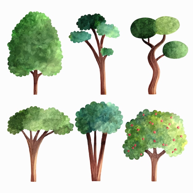 Watercolor Type of Trees Vector Templates for Free Download