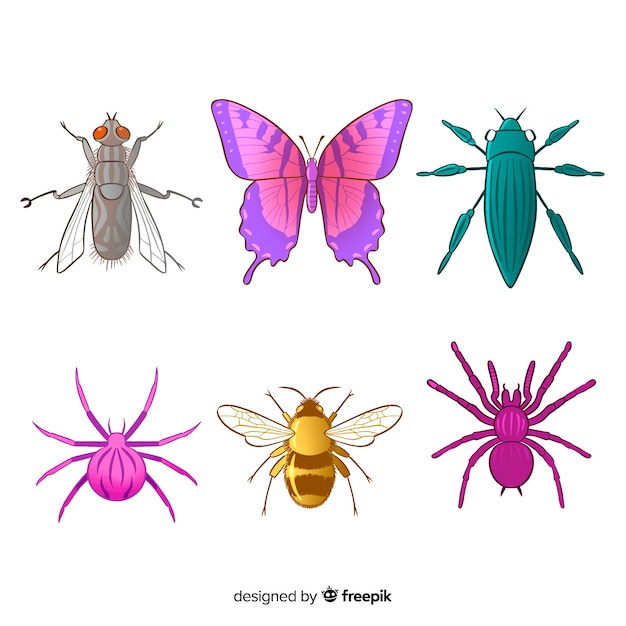 Colorful Insect Collection – Free Download Vector Templates