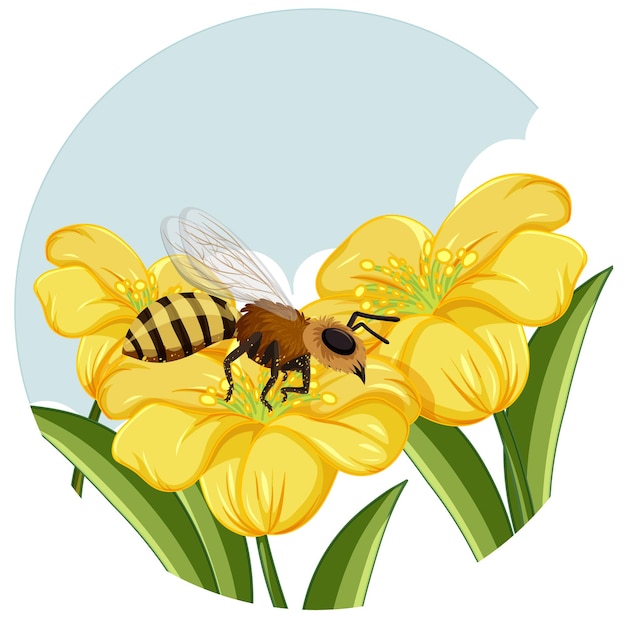 Vector Template: Stunning Honeybee on Yellow Flower with White Background