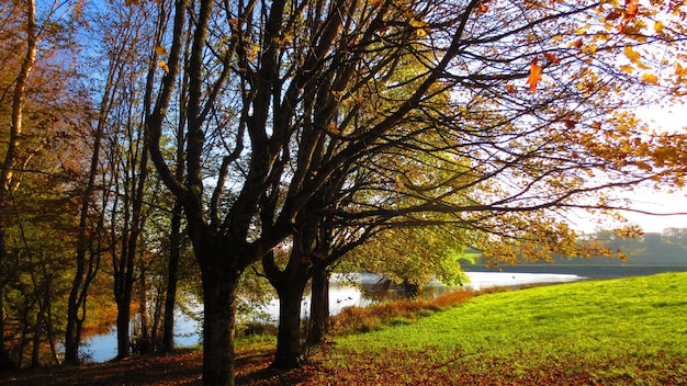 Beautiful Park with Lake in Autumn